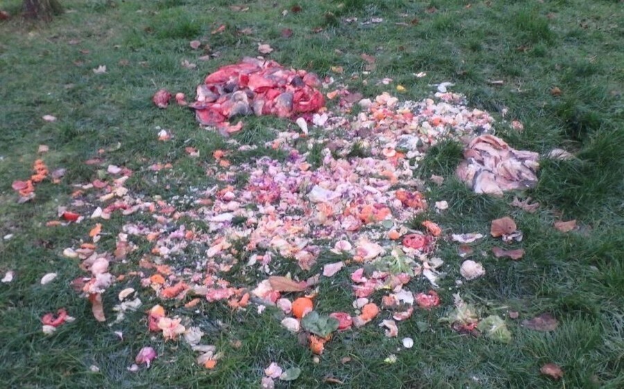 Głowy karpi na skwerze przy podstawówce