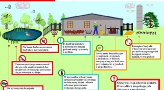 Kolejne ogniska ptasiej grypy w Polsce. Ministerstwo Rolnictwa ostrzega