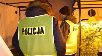 W budynku gospodarczym urządził sobie plantację 