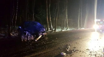 Nagle na jezdnię wbiegł... koń 