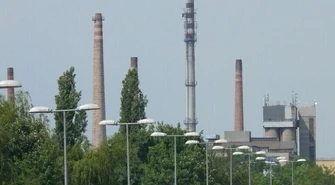 Pamiętacie jak dogorywała Hortensja? 