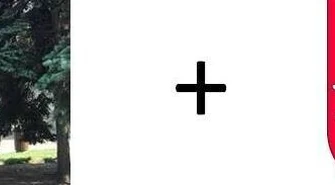 Czy powinien powstać jeden powiat piotrkowski?