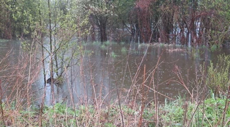 Alarm przeciwpowodziowy w gminach Sulejów i Aleksandrów