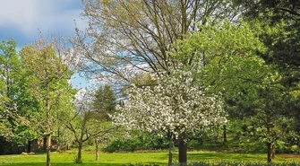 Dokąd wyjechać z dzieckiem na weekend?