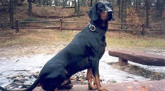 Konkurs Pracy Dzikarzy na piotrkowskiej strzelnicy