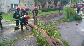 Piotrków. Powalone drzewa, złamane słupy