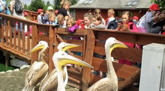 Drugi tydzień wakacji z MOK-iem