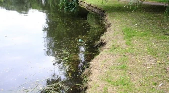 Szczury w parku Belzackim, potrzebna deratyzacja