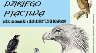 W sobotę pokaz dzikiego ptactwa 