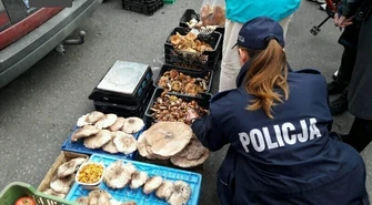 Akcja &#8222;Grzyb&#8221; na targowisku 