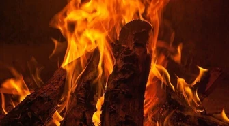  Palisz śmieci? Grozi ci mandat