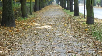 „Budowlanka” z Reymontem. O 12.00 początek festynu! 