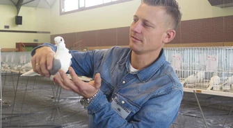 Hodowcy prezentują najlepsze okazy