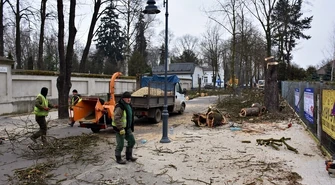 Wycinają kasztanowce na Cmentarnej