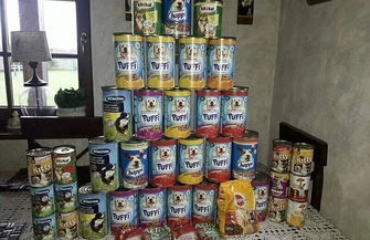 Kibice wspierają Wigilię dla zwierząt