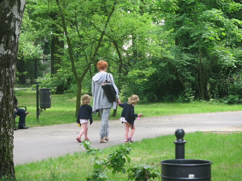 W Piotrkowie źle zarządzają miejską zielenią