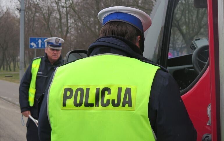 Przez dzika bus wjechał do rowu