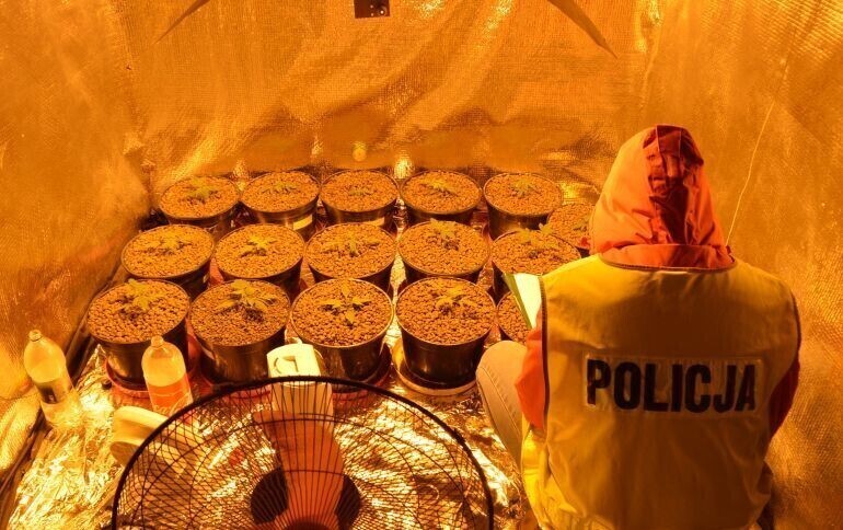 Rodzinny biznes rozbiła policja