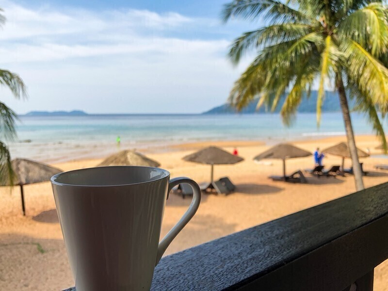 Święta pod palmami