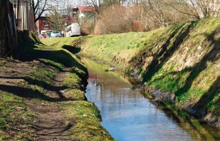 Strawa miała być czystsza