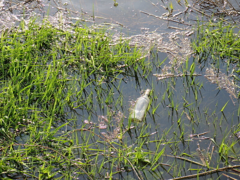 W tym roku też posprzątają Pilicę