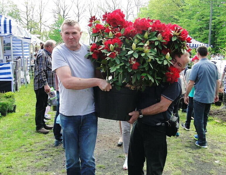 Pamiętajmy o ogrodach W niedzielę targi w Bykach