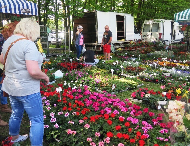 Kwiaty sadzonki i zdrowa żywność na kolejnych targach w Bykach