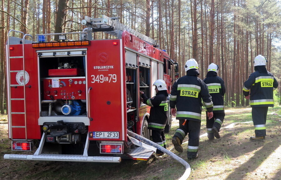 Płonie las w gminie Aleksandrów...
