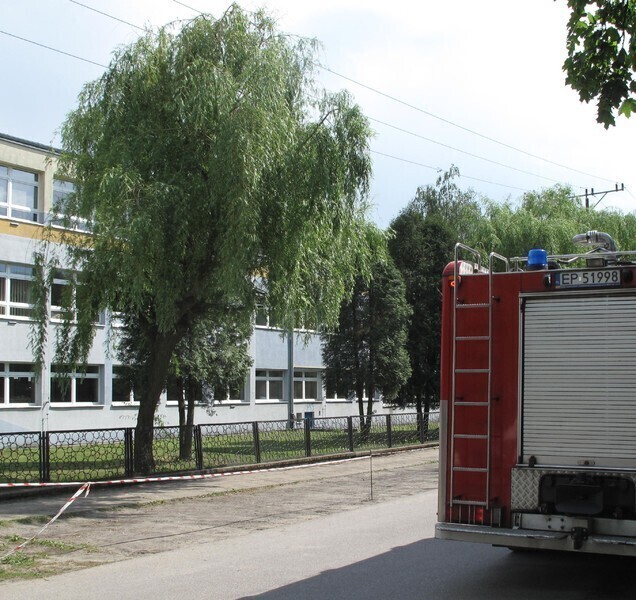 Drzewo powodem ewakuacji szkoły