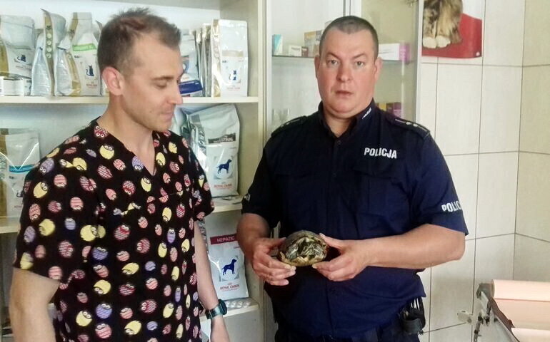 Interweniowali w sprawie żółwia