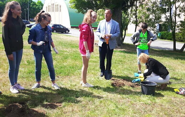 Dęby Niepodległości w Wolborzu