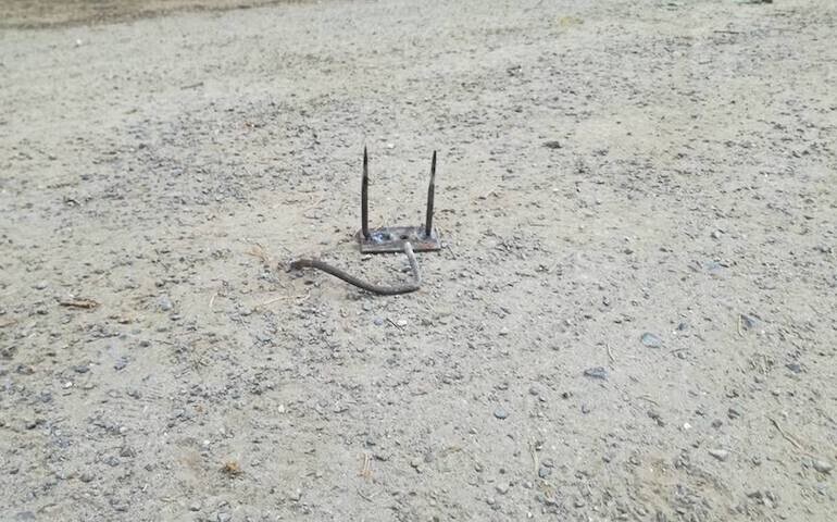 Kto zastawia pułapki na spacerowiczów