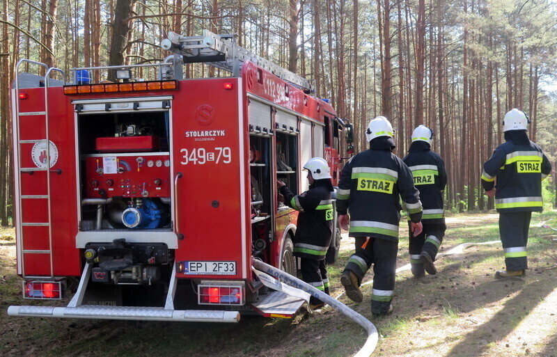 Pożary lasów w powiecie piotrkowskim. Strażacy apelują o rozwagę