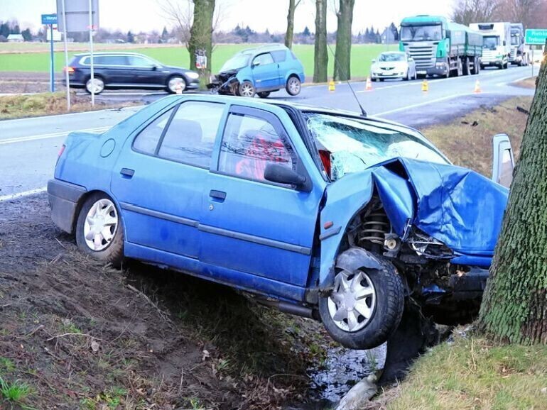 Czy przydrożne drzewa pójdą pod topór