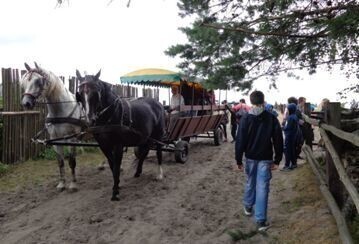 Podaruj uśmiech. Piknik MOPR