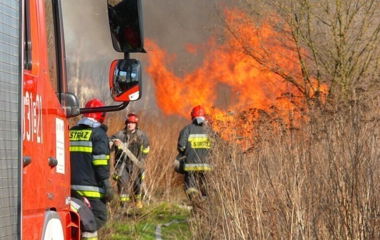 Podpalacz lasów w gminie Rozprza