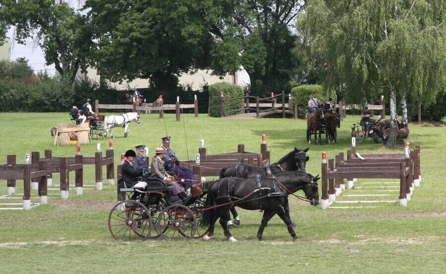 Śmietanka polskiego jeździectwa przyjechała do Bogusławic