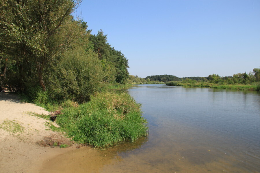 Z cyklu Przyroda zawsze Ci odda - Pilica