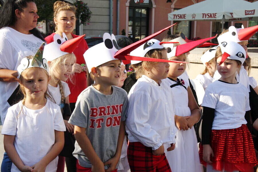 Przez Piotrków przeszły... bociany