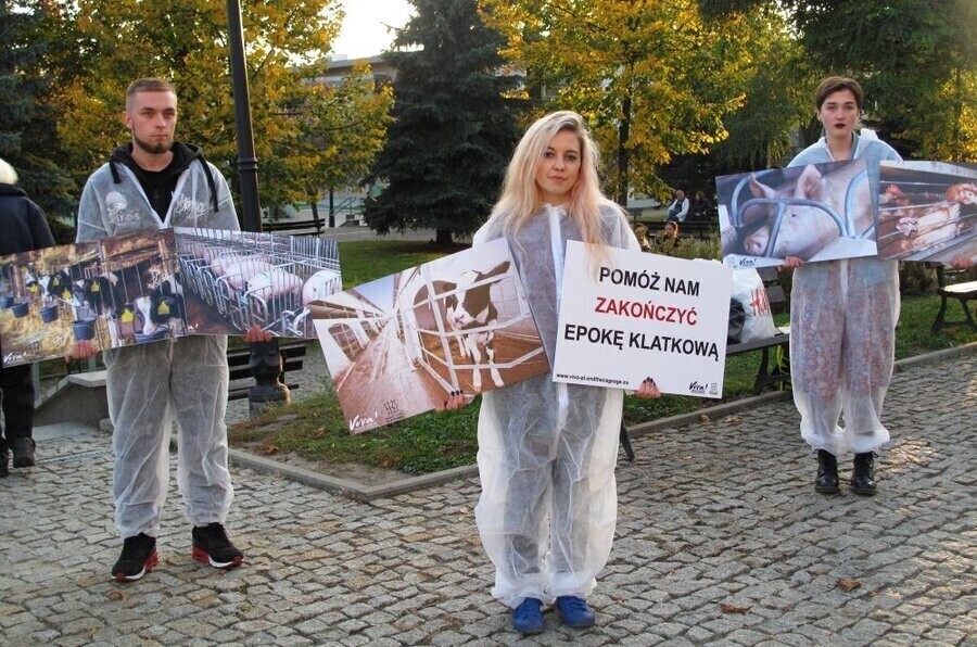 Chcą skończyć z hodowlą klatkową. Zbierali podpisy w centrum Piotrkowa