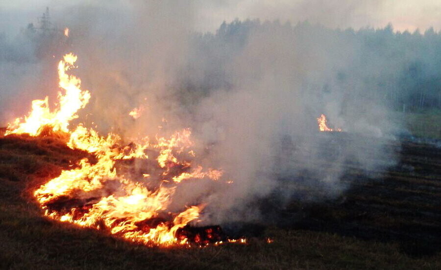 Tak się kończy wypalanie trawy