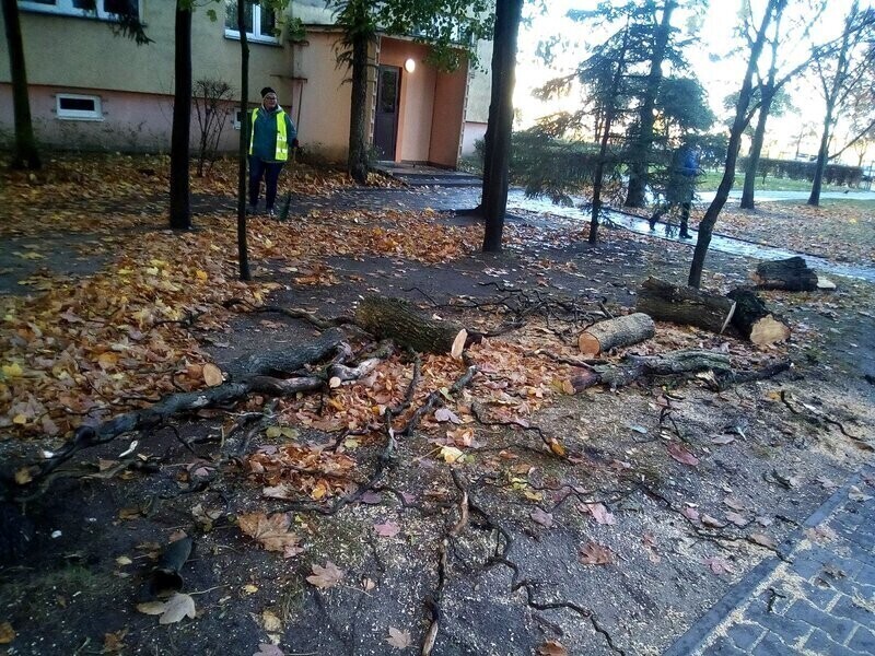 Są straty po wichurze