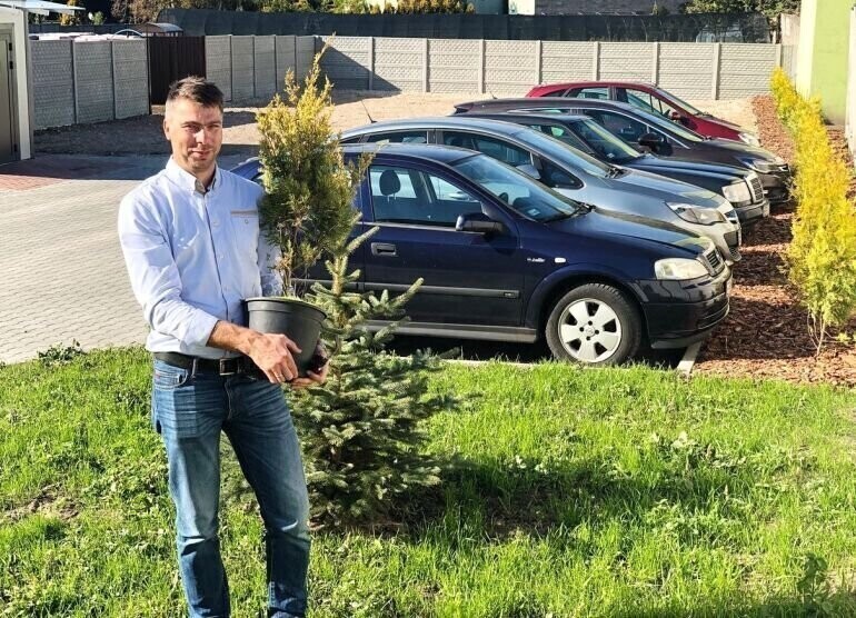 Dużo zieleni na nowym parkingu w Wolborzu