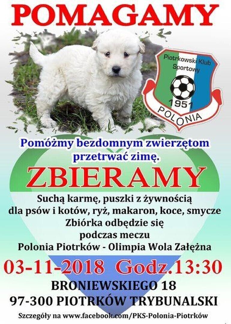 Będą zbierać karmę dla zwierząt podczas meczu Polonii
