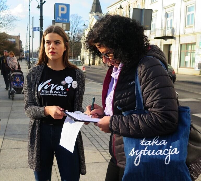 Zbiórka podpisów na ulicach Piotrkowa. Viva znów broni zwierząt