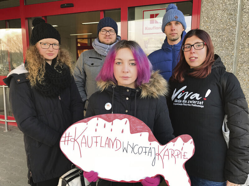 Piotrkowskie sklepy też wycofują się ze sprzedaży żywych karpi