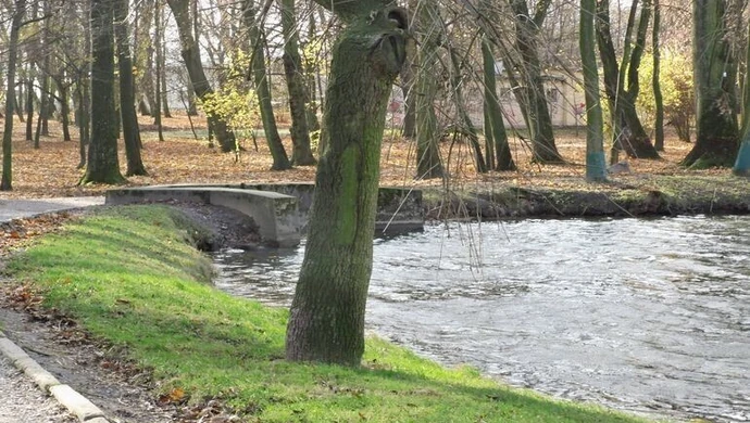 Magistrat odnosi się do wyników kontroli NIK