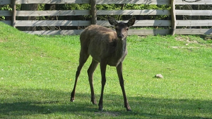 Z cyklu "Przyroda zawsze ci odda..." Leczą i edukują