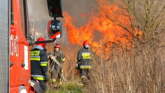 Pożar hali produkcyjnej w Piaskach