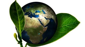 Wpływ działalności człowieka na środowisko - zwiększona świadomość ekologiczna przedsiębiorców